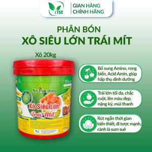 Phân Bón Xô Siêu Lớn Trái Mít Thụy Sỹ, Nuôi Trái Cực Lớn, Mít Loại 1, Trái Mít Tròn Đều Đẹp - Xô 20kg