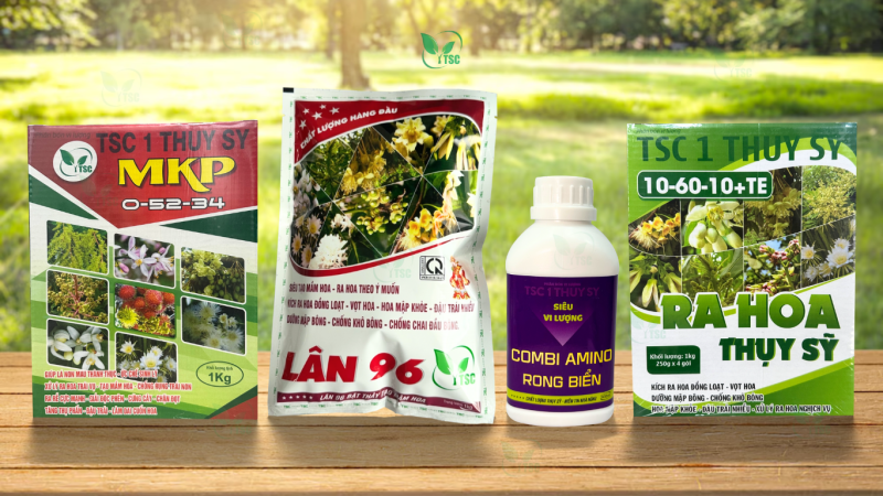 Các Loại Sầu Riêng Phổ Biến - Top 3 Mang Lại Giá Trị Kinh Tế Cao bo-tao-mam-lan-1