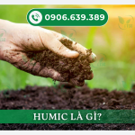 HUMIC LÀ GÌ? TÁC DỤNG CỦA HUMIC ĐỐI VỚI ĐẤT VÀ CÂY TRỒNG