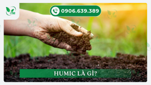 humic-la-gi