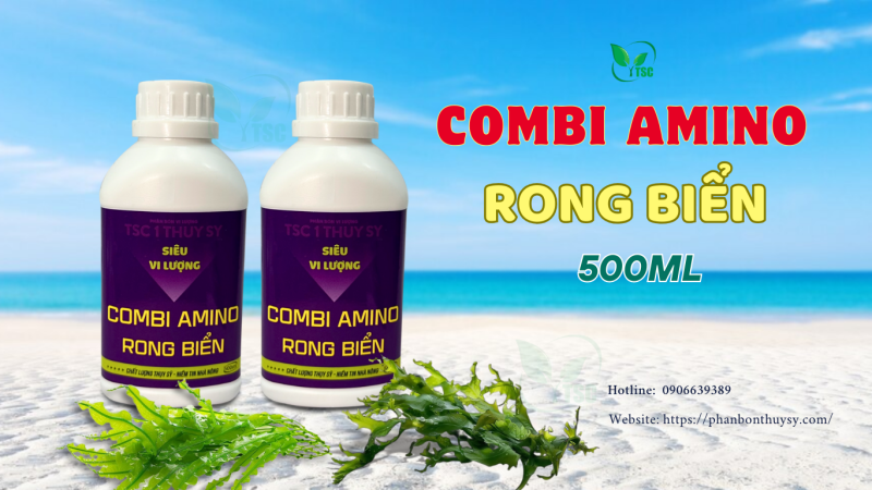Phân Bón Lá Rong Biển – 5 Công Dụng Nổi Bật phan-bon-la-rong-bien