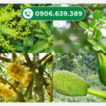 THIOUREA LÀ GÌ? THIOUREA CÓ TÁC DỤNG GÌ?