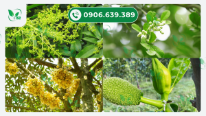 thiourea-la-gi-thiourea-co-tac-dung-gi