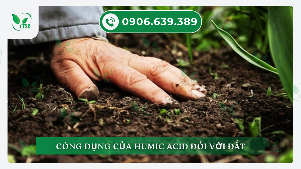 HUMIC LÀ GÌ? TÁC DỤNG CỦA HUMIC ĐỐI VỚI ĐẤT VÀ CÂY TRỒNG cong-dung-cua-humic-la-gi