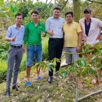 Hội Thảo Kỹ Thuật Đầu Bờ: Giao Lưu và Chia Sẻ Giải Pháp Trên Cây Sầu Riêng Với Bà Con Nông Dân Khu Vực Tiền Giang