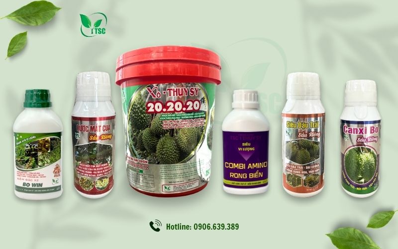 Sầu Riêng Ra Hoa Có Nên Tưới Nước Hay Không? sầu riêng ra hoa có nên tưới nước hay không?