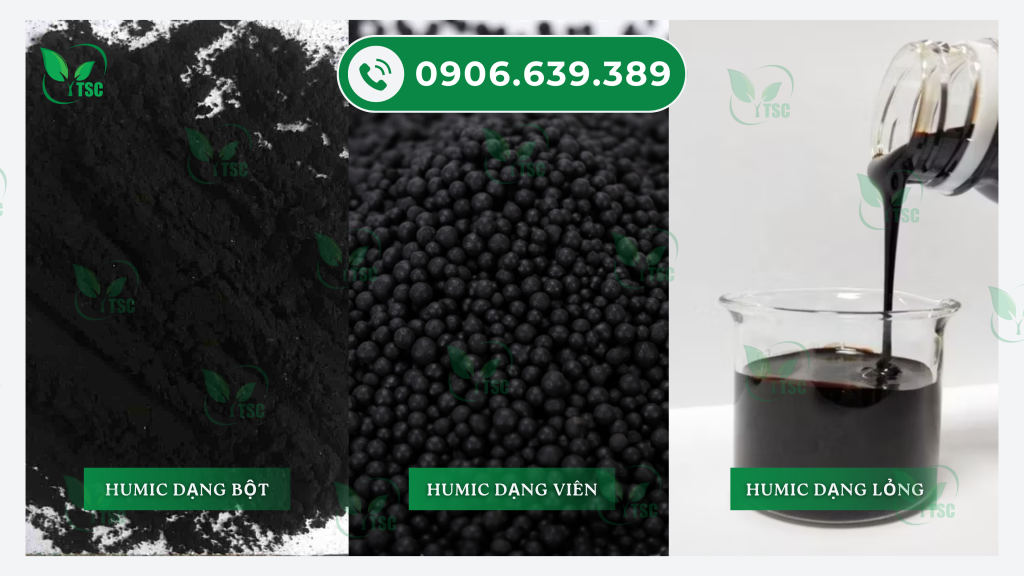 HUMIC LÀ GÌ? TÁC DỤNG CỦA HUMIC ĐỐI VỚI ĐẤT VÀ CÂY TRỒNG humic-la-gi-cac-dang-humic-pho-bien