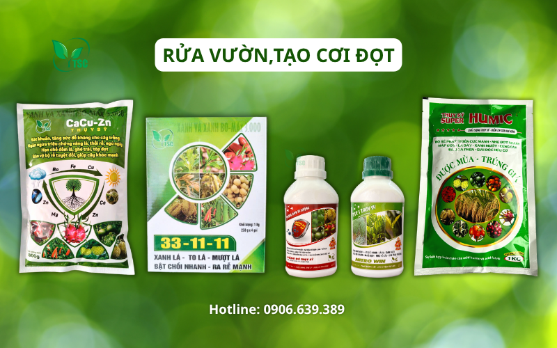 Cách Làm Bông Xoài Nghịch Vụ - Quy Trình 6 Giai Đoạn Không Thể Bỏ Qua cach-lam-bong-xoai-nghich-vu