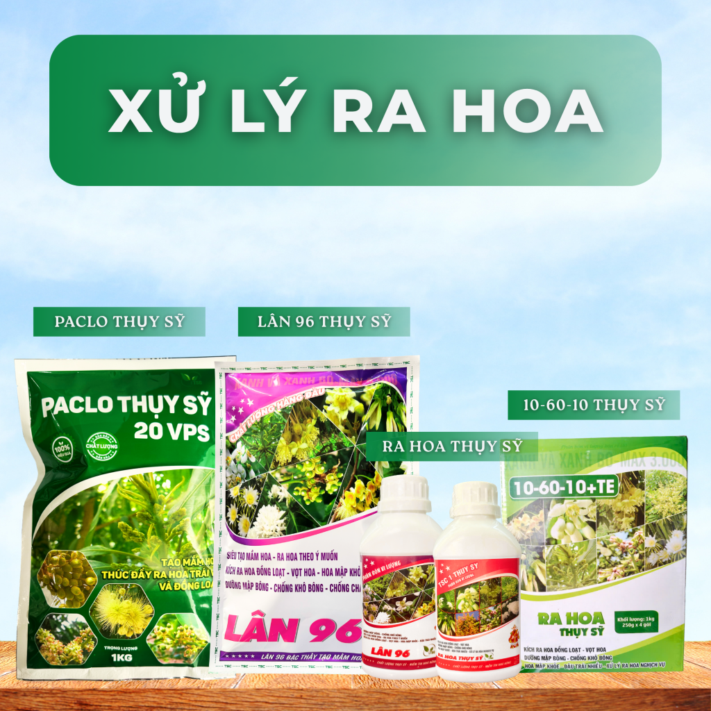 xu-ly-ra-hoa-man-an-phuoc