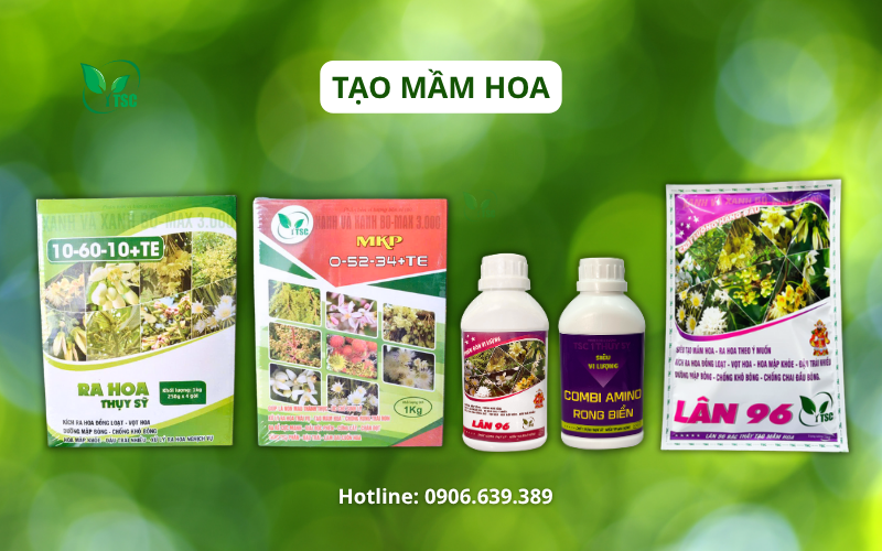 Cách Làm Bông Xoài Nghịch Vụ - Quy Trình 6 Giai Đoạn Không Thể Bỏ Qua cach-lam-bong-xoai-nghich-vu