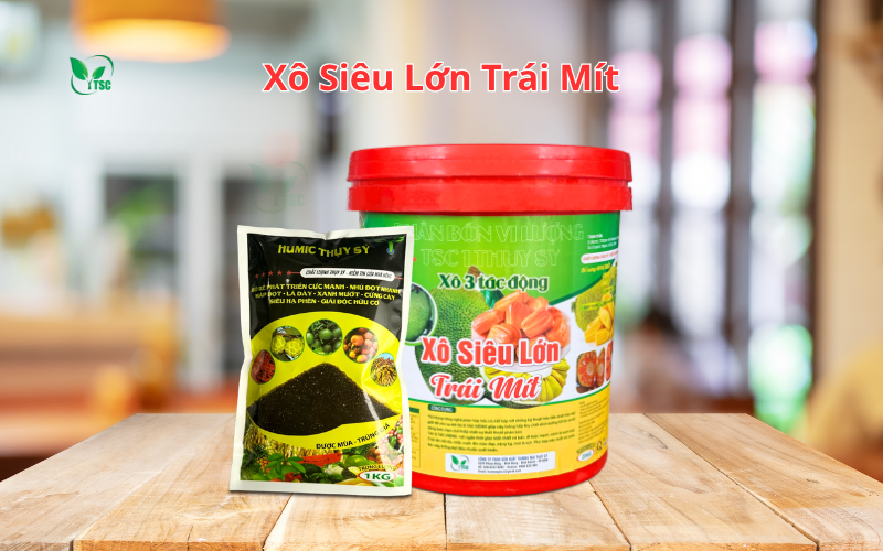 nut-trai-thoi-cuong-be-mau-thoi-trai-tren-mit