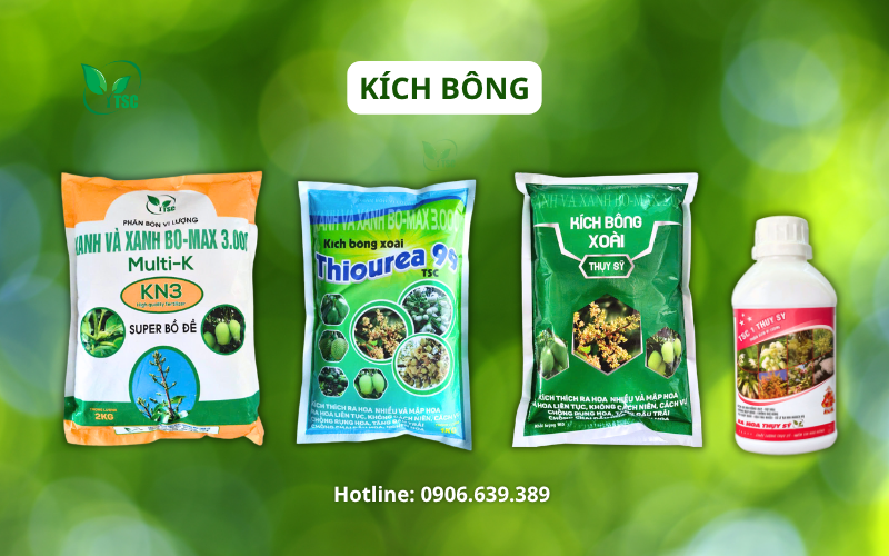 Cách Làm Bông Xoài Nghịch Vụ - Quy Trình 6 Giai Đoạn Không Thể Bỏ Qua cach-lam-bong-xoai-nghich-vu