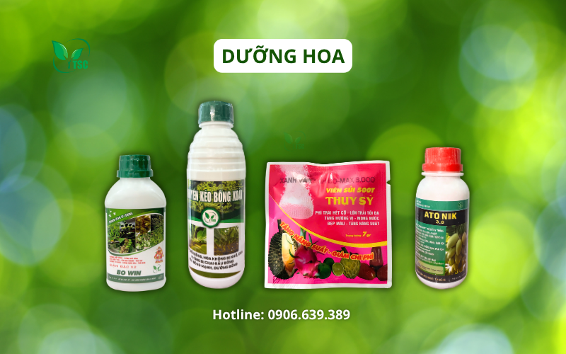 Cách Làm Bông Xoài Nghịch Vụ - Quy Trình 6 Giai Đoạn Không Thể Bỏ Qua cach-lam-bong-xoai-nghich-vu