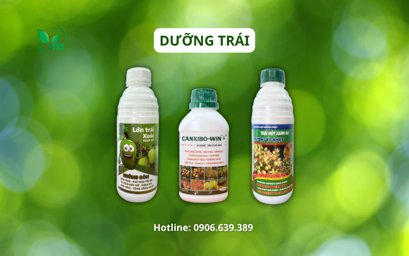 Cách Làm Bông Xoài Nghịch Vụ - Quy Trình 6 Giai Đoạn Không Thể Bỏ Qua cach-lam-bong-xoai-nghich-vu