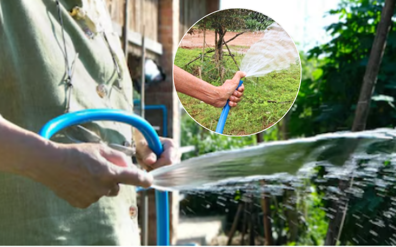 Tưới Sầu Riêng Sao Cho Đúng Cách Và 5 Cách Tưới Phổ Biến Nhất tuoi-sau-rieng-sao-cho-dung-cach