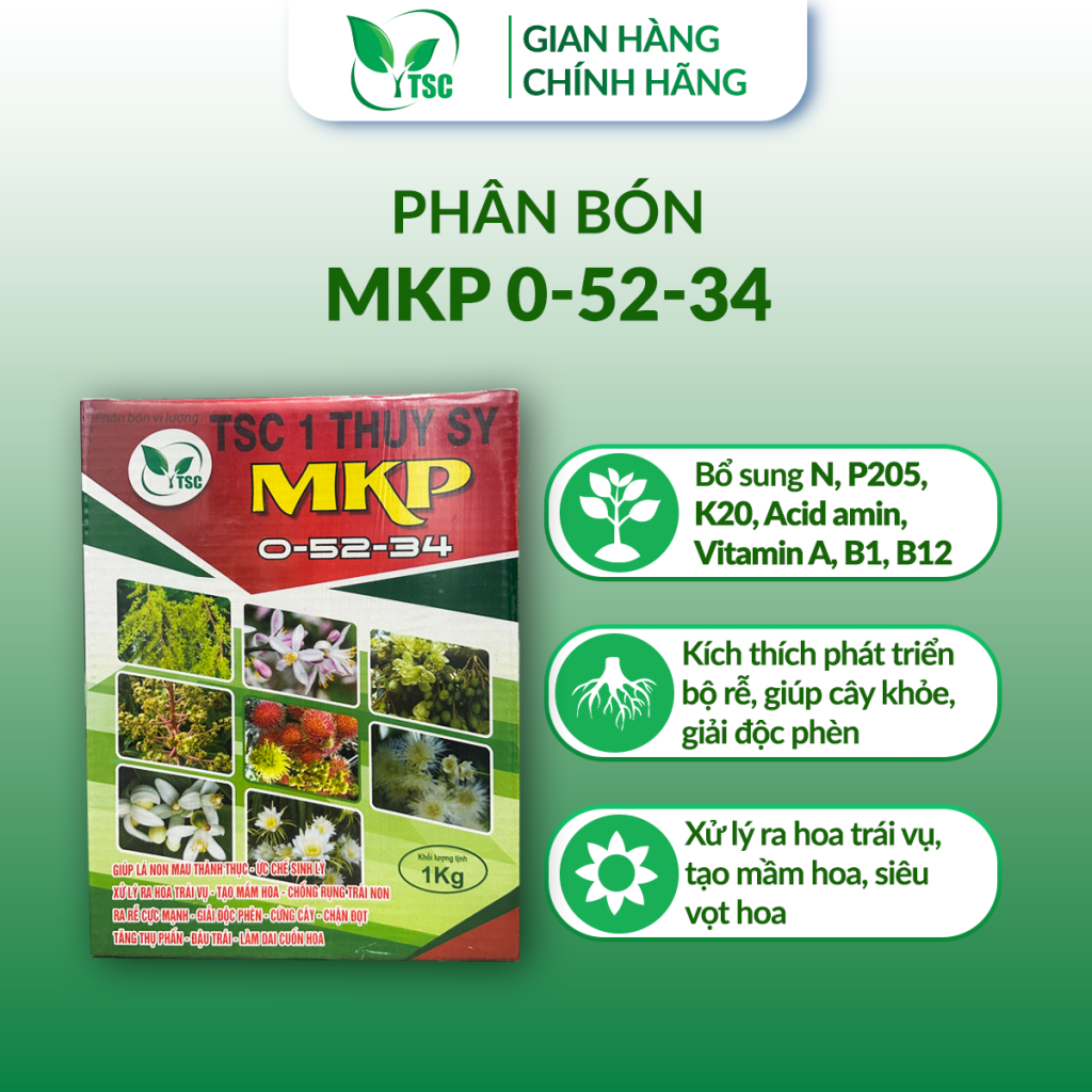 Kỹ thuật chặn đọt sầu riêng hiệu quả cao chan-sot-sau-rieng-bang-mkp-0-52-34
