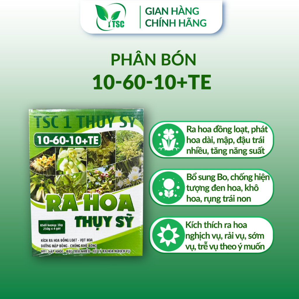 Làm sao để kích bông mít mùa nghịch thành công, dễ chăm sóc, dễ đậu trái 10-60-10-te-thuy-sy-kich-bong-mit