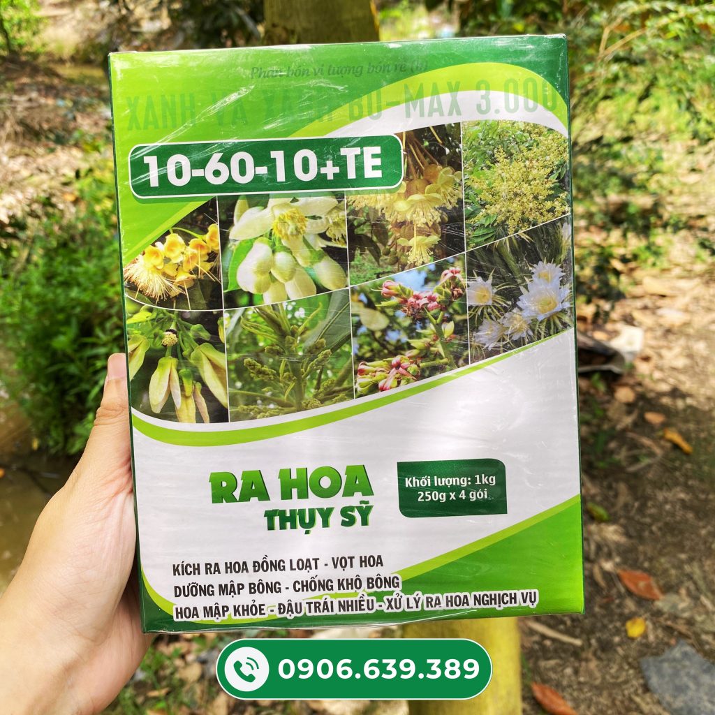 Kỹ thuật siêu kích bông mít ra hoa đồng đều, đậu trái cao 10-60-10-te-ra-hoa-thuy-sy