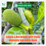 Cách làm bông Mít Thái nghịch vụ hiệu quả