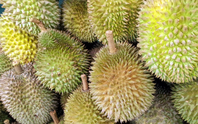 gia-sau-rieng-hom-nay