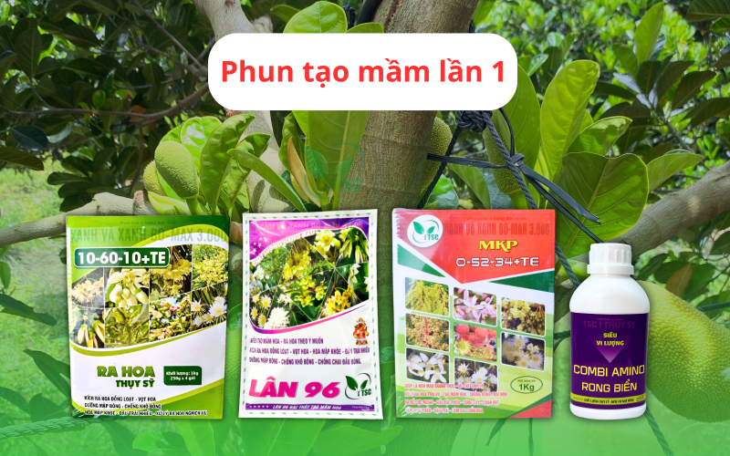 cach-lam-bong-mit-mua-nghich