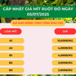 GIÁ MÍT RUỘT ĐỎ HÔM NAY NGÀY 05/07/2025