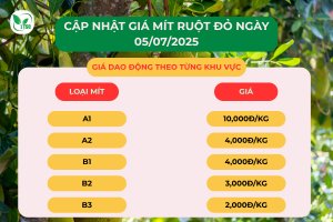 Gia-mit-ruot-do-hom-nay