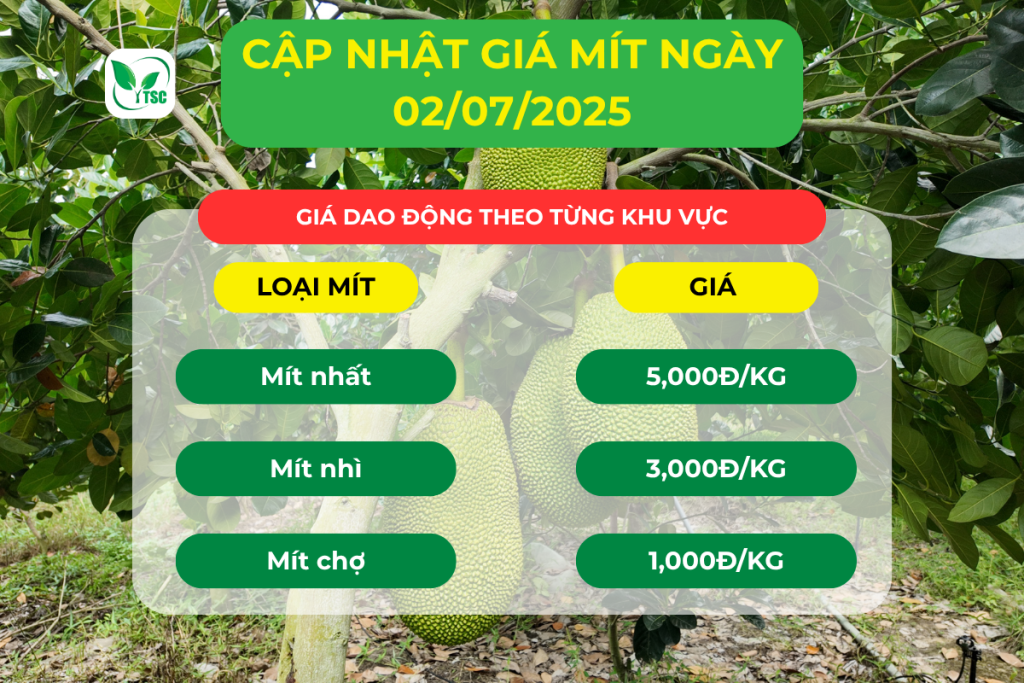 Gia-mit-02.07.2025