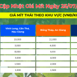 CẬP NHẬT GIÁ MÍT HÔM NAY NGÀY 25.07.2025