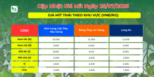 Gia-mit-hom-nay-25.07.2025