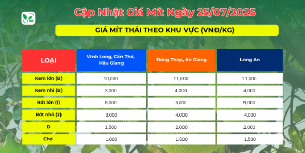 CẬP NHẬT GIÁ MÍT HÔM NAY NGÀY 25.07.2025 Giá mít hôm nay ngày 25/07/2025