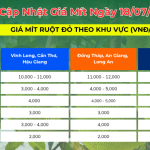 CẬP NHẬT GIÁ MÍT RUỘT ĐỎ HÔM NAY NGÀY 18.07.2025