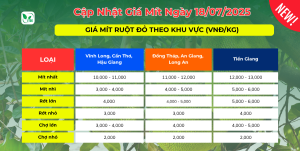 Gia-mit-hom-nay-28.07.2025