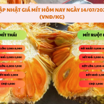 CẬP NHẬT GIÁ MÍT HÔM NAY NGÀY 14/07/2025