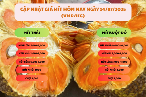 Gia-mit-hom-nay-ngay-14.07.2025
