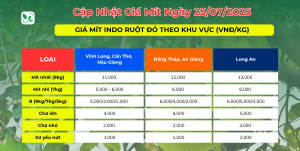 CẬP NHẬT GIÁ MÍT HÔM NAY NGÀY 25.07.2025 Giá mít hôm nay ngày 25/07/2025