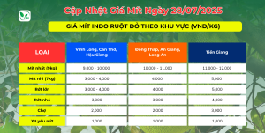 GIÁ MÍT HÔM NAY NGÀY 28.07.2025 Giá mít Indo hôm nay
