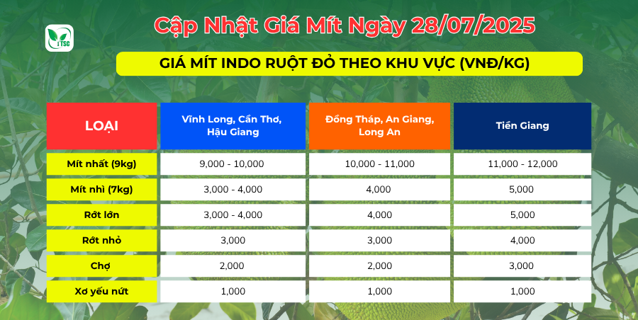 GIÁ MÍT HÔM NAY NGÀY 28.07.2025 Gia-mit-ruot-do-28.07.2025