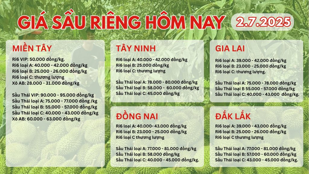 gia-sau-rieng-hom-nay