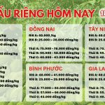 Giá sầu riêng hôm nay ngày 18/7/2025
