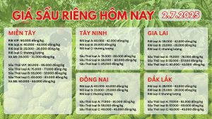 gia-sau-rieng-hom-nay