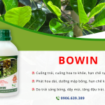 BOWIN THỤY SỸ – GIẢI PHÁP DƯỠNG HOA MẬP KHOẺ, ĐẬU TRÁI NHIỀU, NĂNG SUẤT CAO