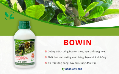 BOWIN THỤY SỸ - GIẢI PHÁP DƯỠNG HOA MẬP KHOẺ, ĐẬU TRÁI NHIỀU, NĂNG SUẤT CAO Bowin Thụy Sỹ