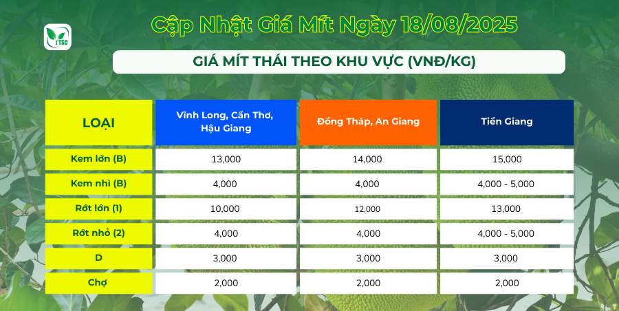 Gia-mit-thai-hom-nay
