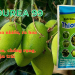 Phân Bón Thiourea 99 – Kích Hoa Nhiều, Ra Hoa Liên Tục, Mập Hoa, Chống Rụng Và Tăng Đậu Trái