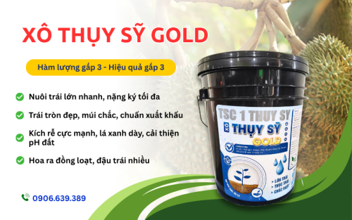 Xô Thụy Sỹ Gold