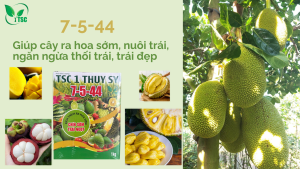 7-5-44-nuoi-trai-trai-dep
