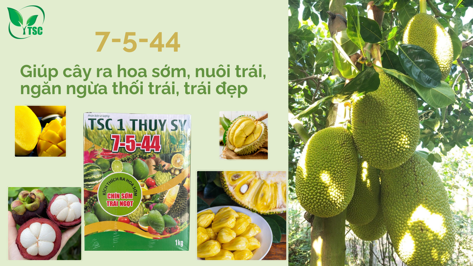 7-5-44-nuoi-trai-trai-dep