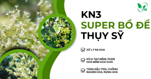 KN3-Xu-ly-ra-hoa
