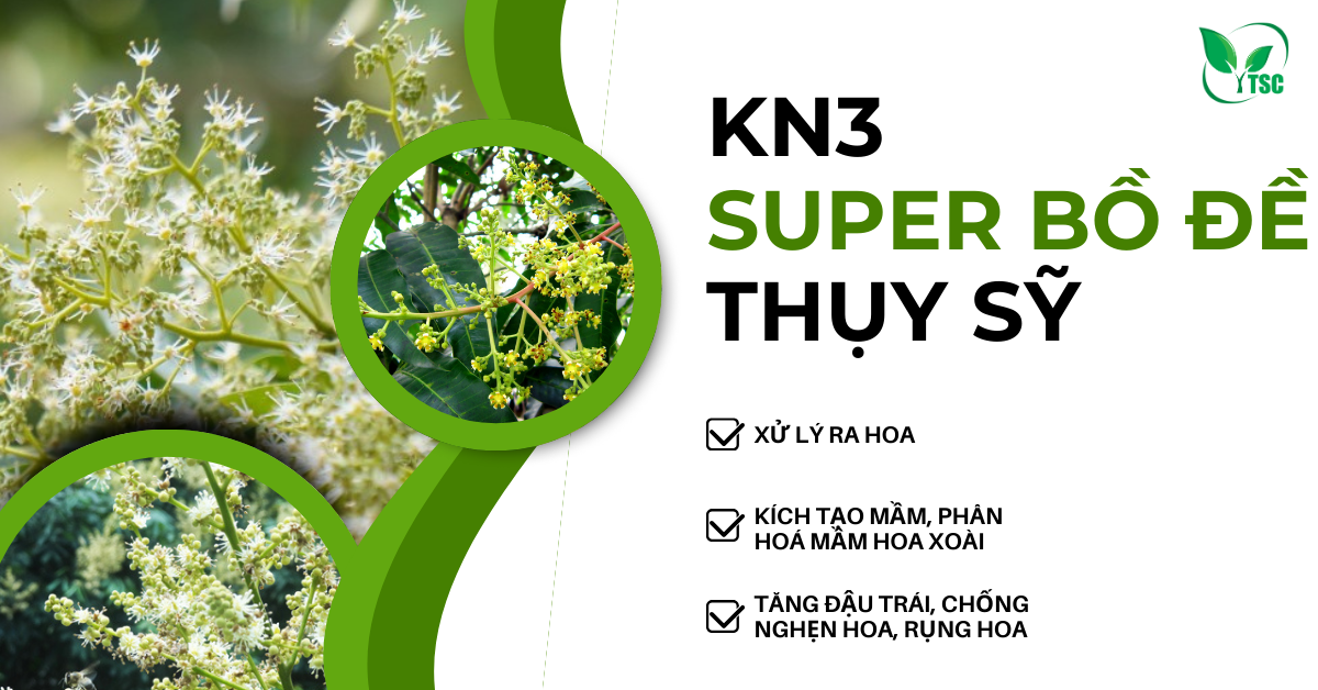 KN3-Xu-ly-ra-hoa